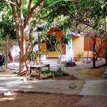 Little Bay Arugam Bay Hostel Εξωτερικό φωτογραφία